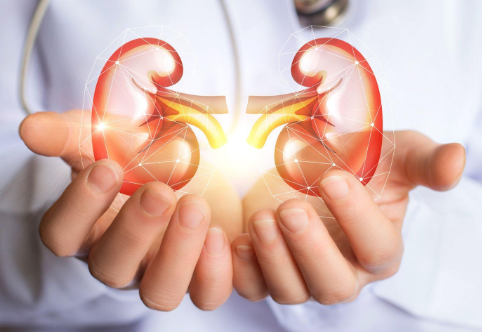 How to Prevent Kidney Problems & Keep Your Kidneys Healthy