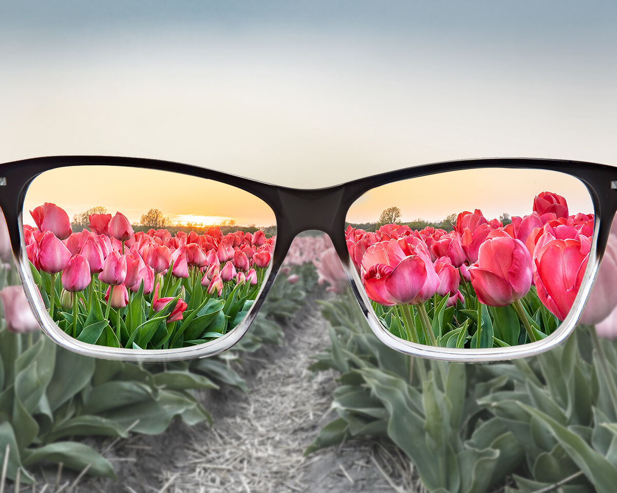 Seeing the World Differently: Understanding Color Blindness in Everyday Life and Clinical Practice