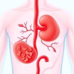 Group logo of Gastroenterology