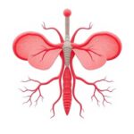 Group logo of Endocrinology